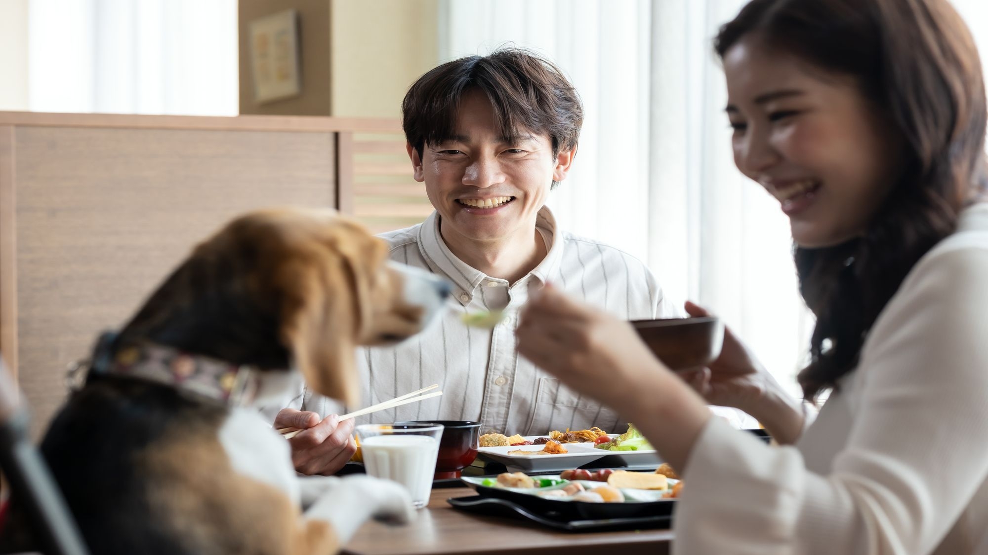 2026年4月わんちゃんと泊まれるホテルにリブランド【特別会席】旬の海の幸 山の幸を満喫する