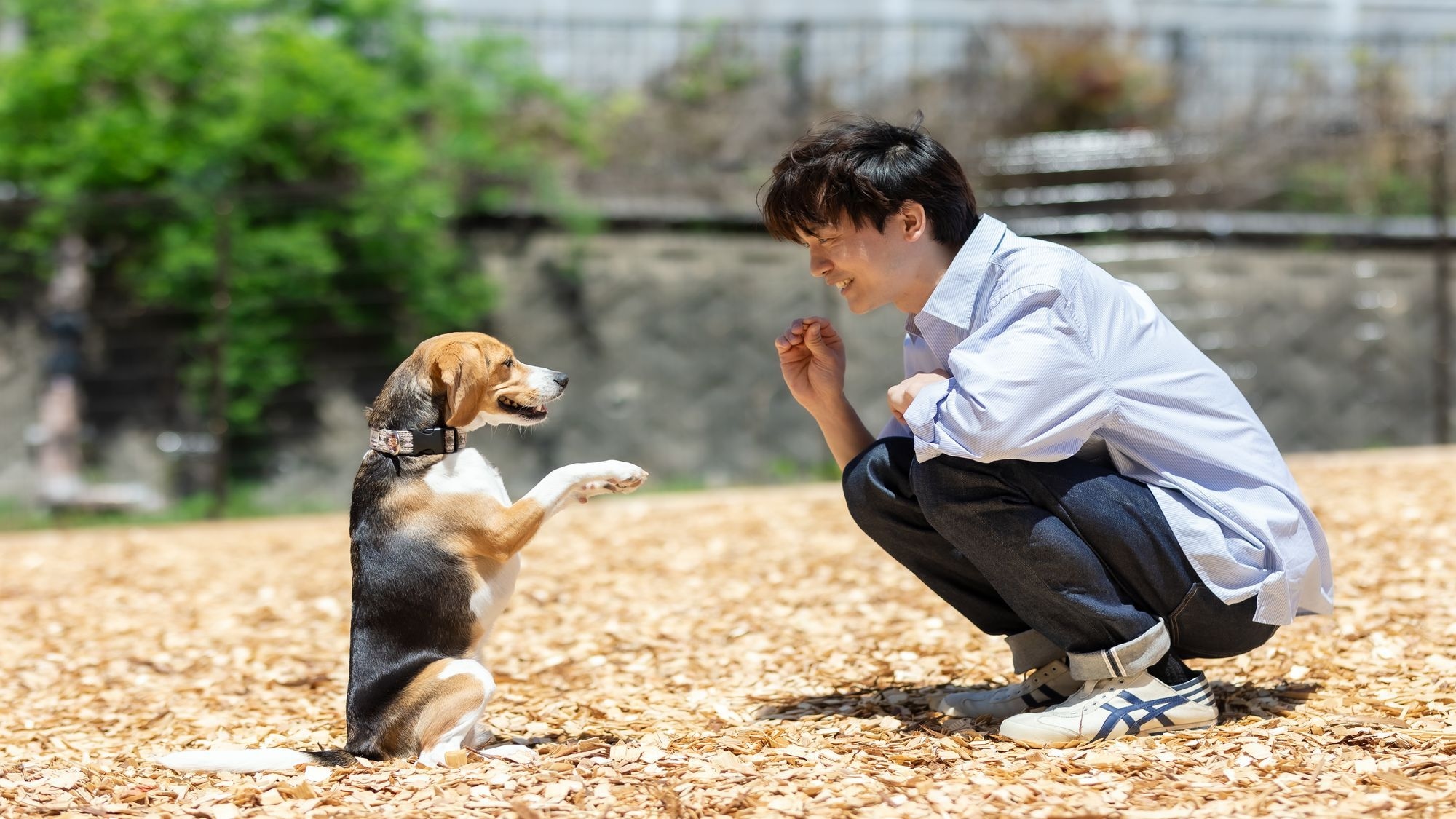 2026年4月わんちゃんと泊まれるホテルにリブランド【季節の会席】万葉の地でヤマトポークと旬を味わう