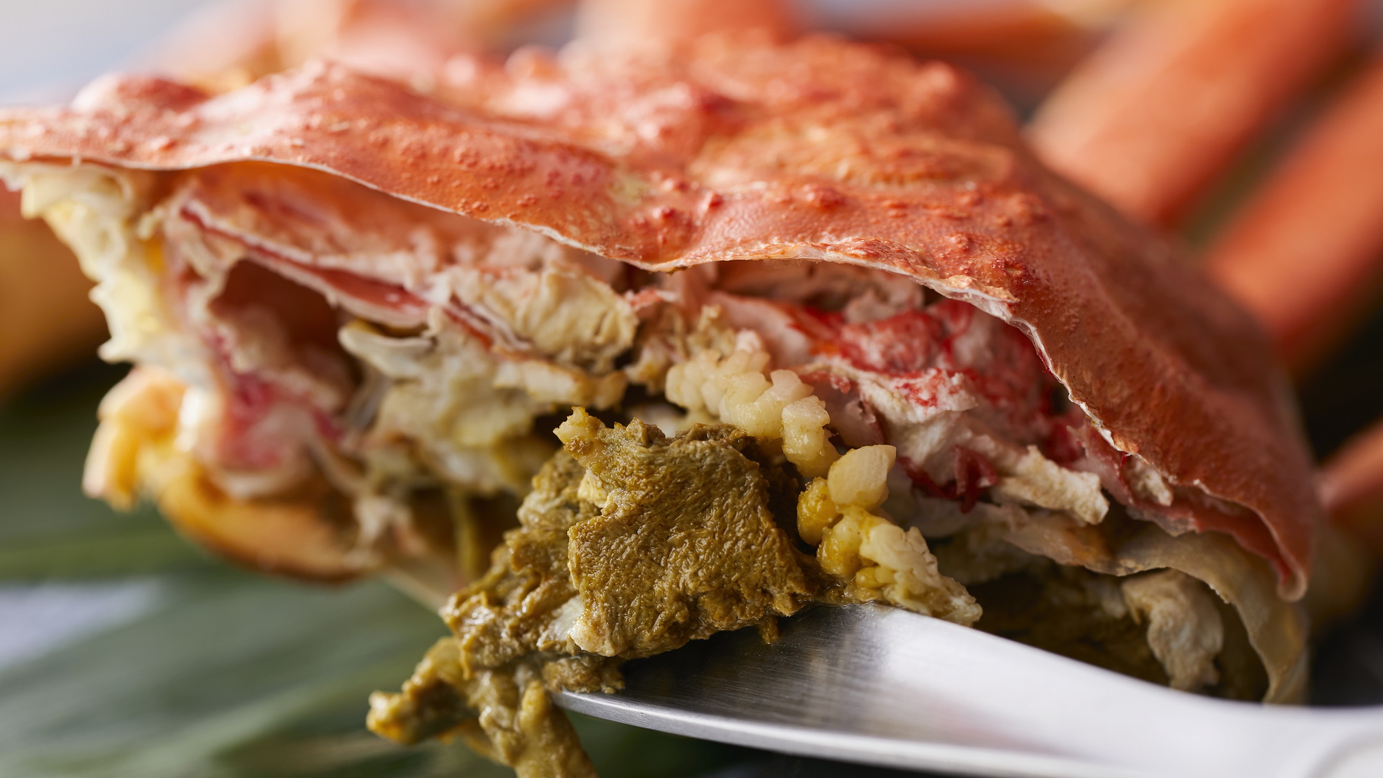 【極み/特別会席】冬(2025年12月～2026年2月)  