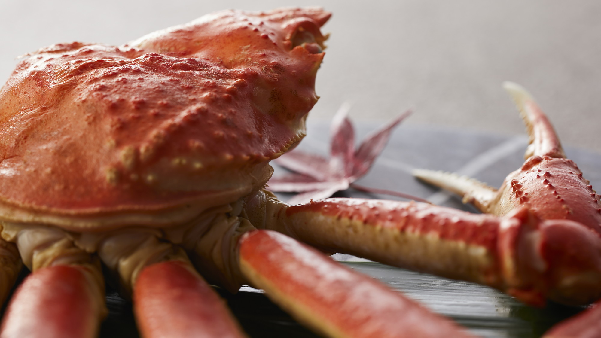 【極み/特別会席】秋(2025年9月～11月)  