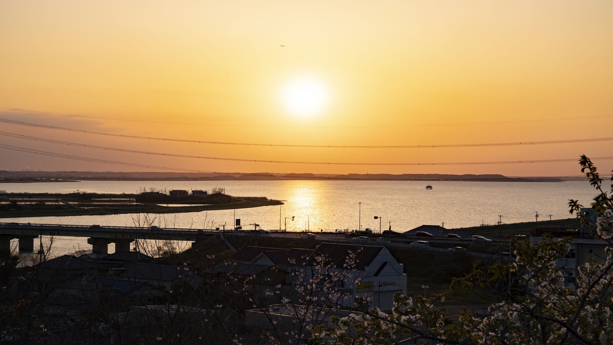 「茨城百景」にも選ばれた権現山公園