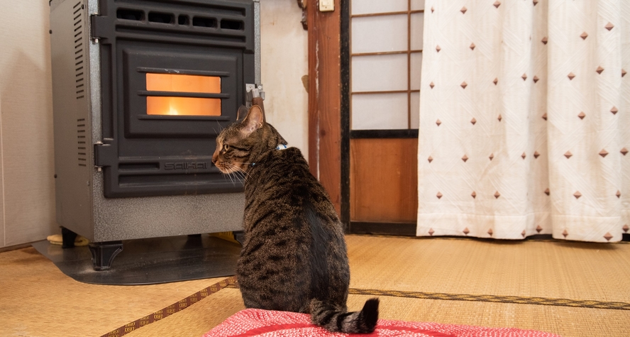 *冬場はストーブの前が定位置です。ゆるり一緒に温まる時間も贅沢です。