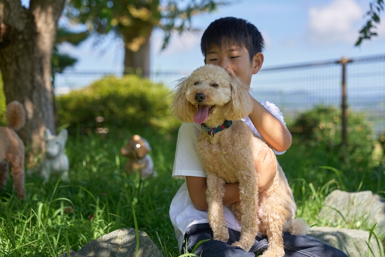 【ワンちゃんとお泊まり】お部屋食／犬用アメニティ8点・ドックラン付／和食御膳プラン