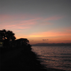 宍道湖沿いの夕陽