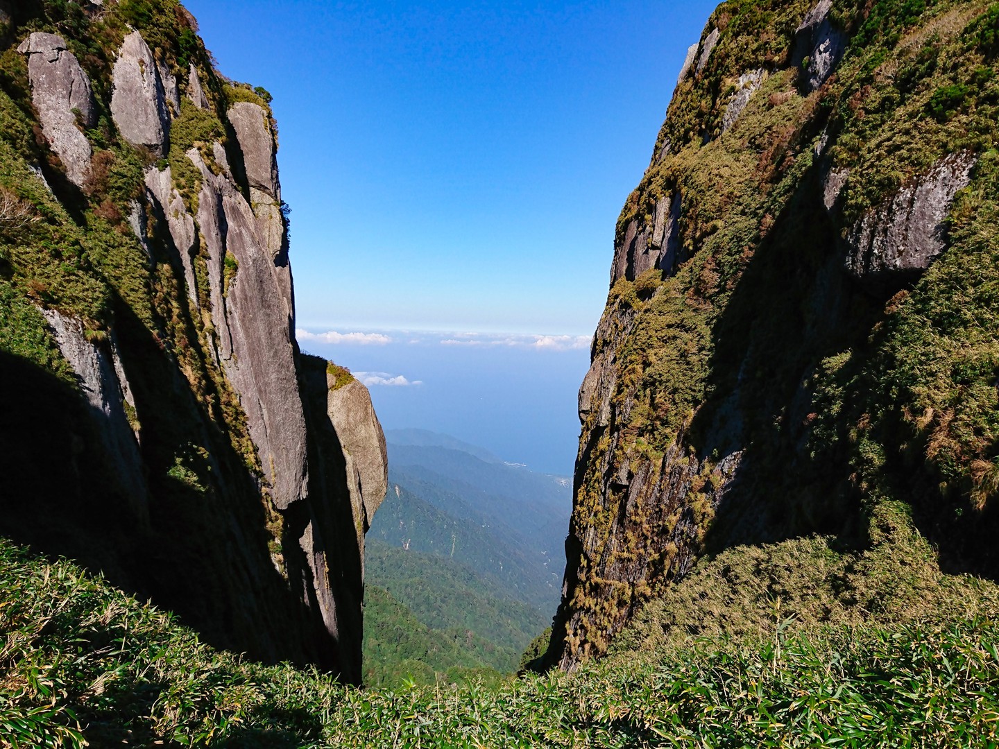 屋久島の景色