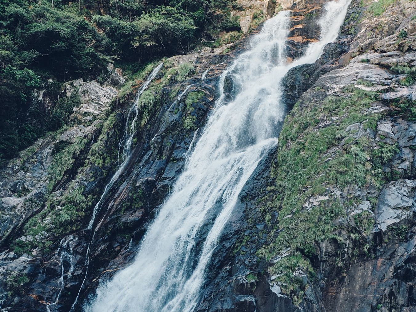 屋久島の景色