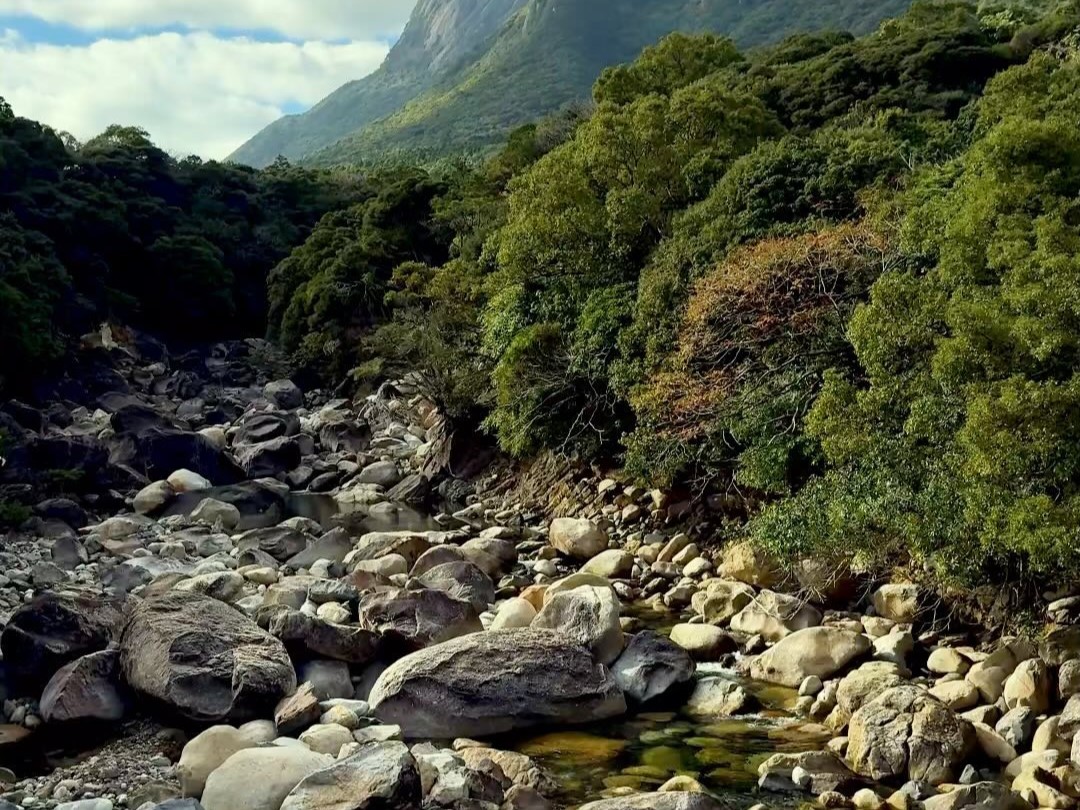 屋久島の景色