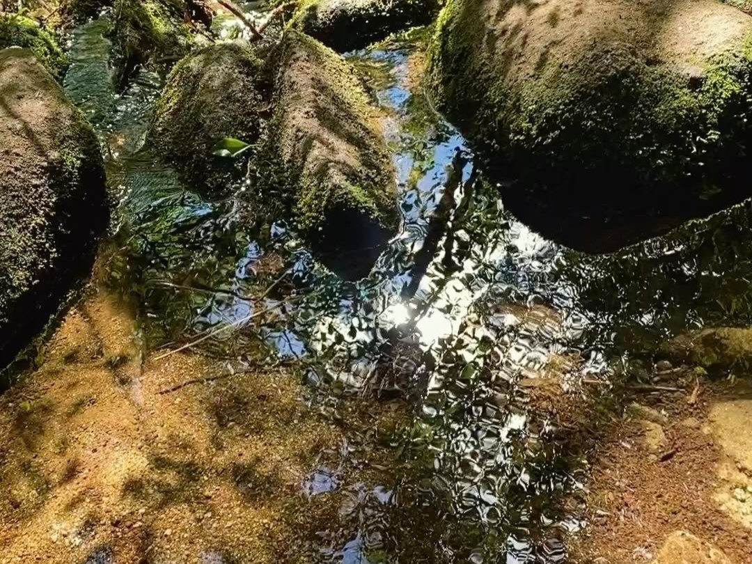 屋久島の景色