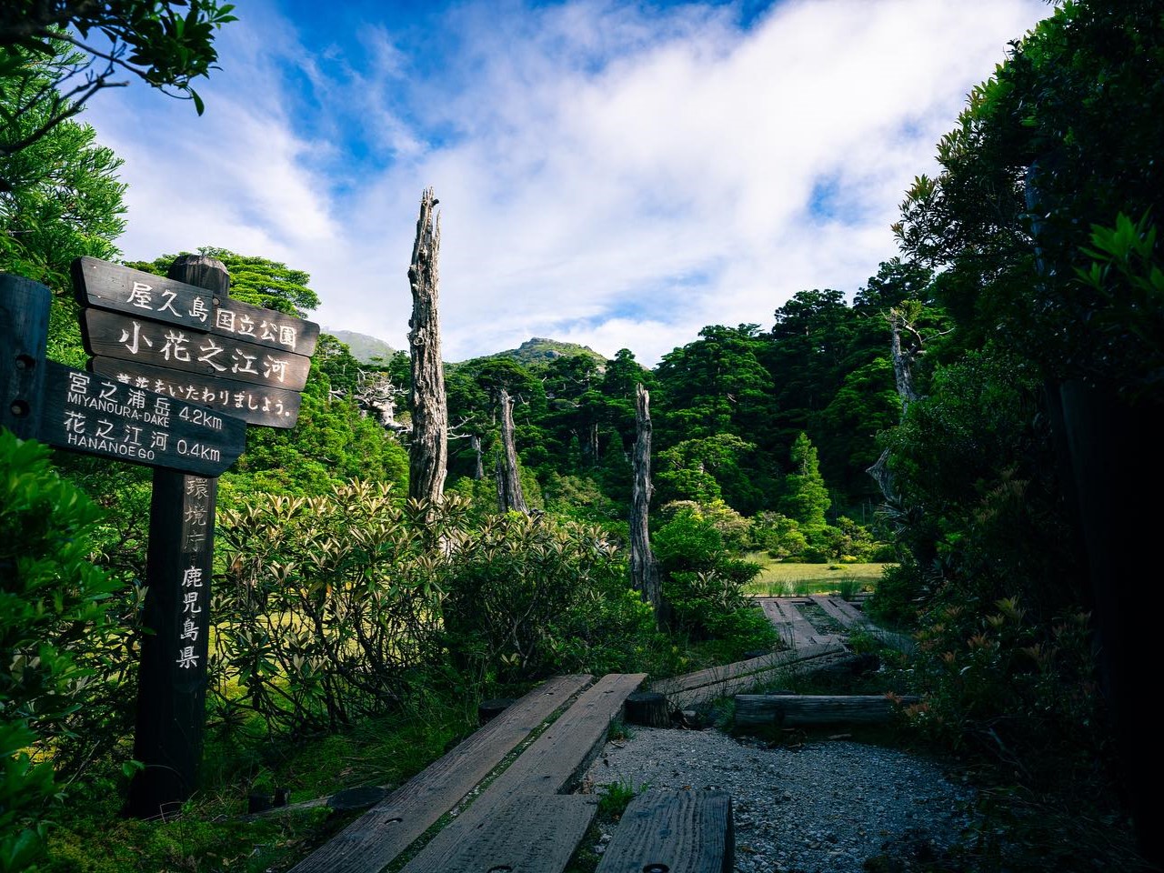 屋久島の景色