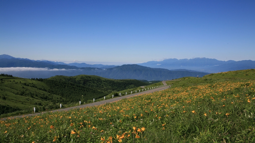 【周辺】ニッコウキスゲがきれいな車山ビーナスライン