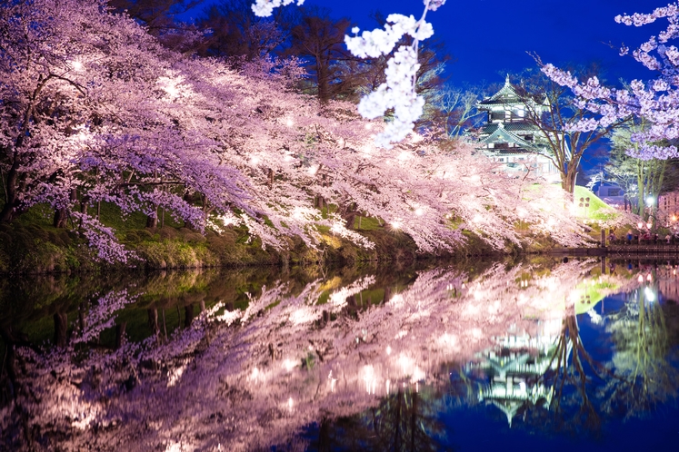 高田城と夜桜