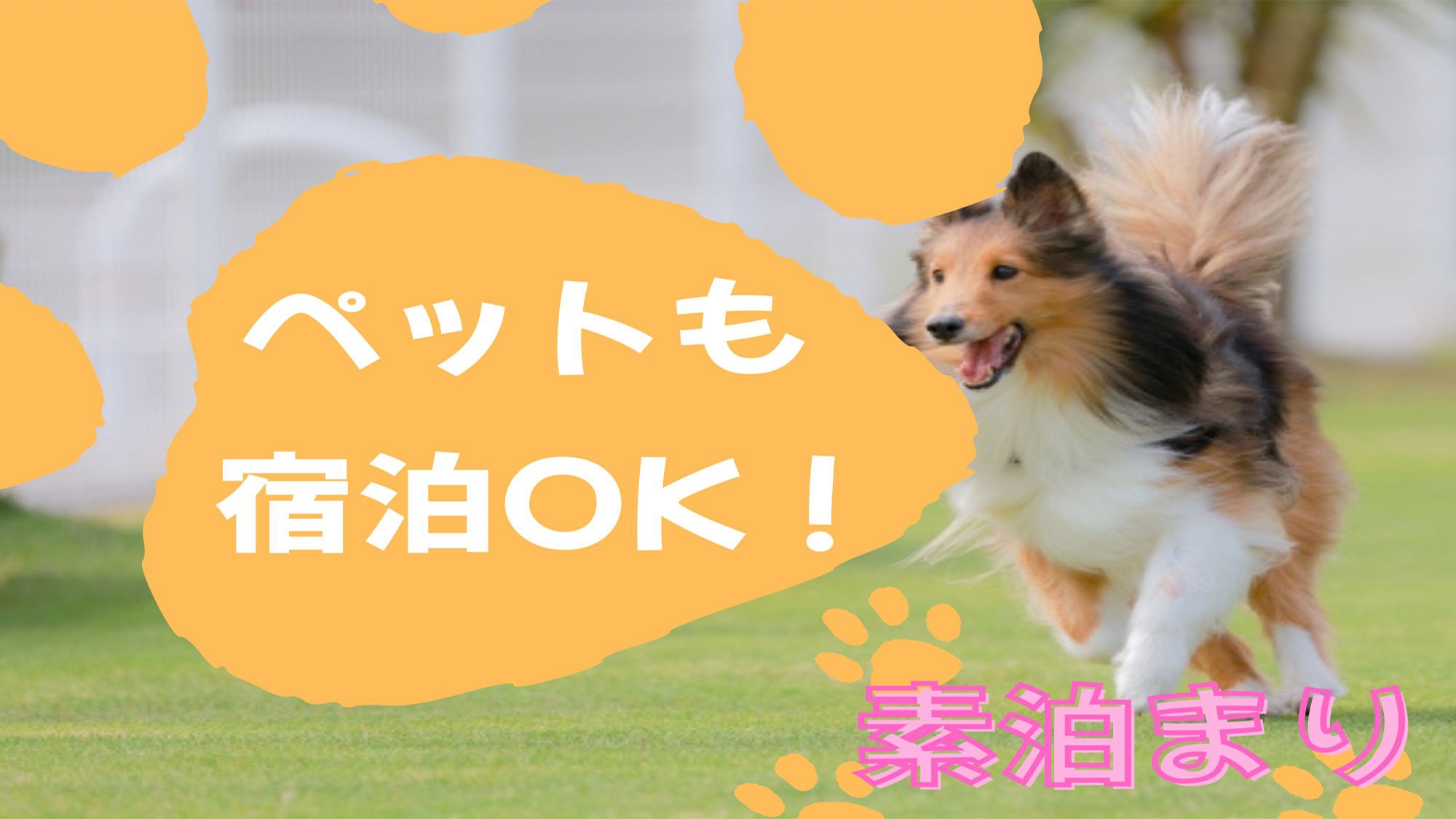 【ペット宿泊OK★素泊まり】旅行は家族みんなで♪阿蘇観光をお楽しみください