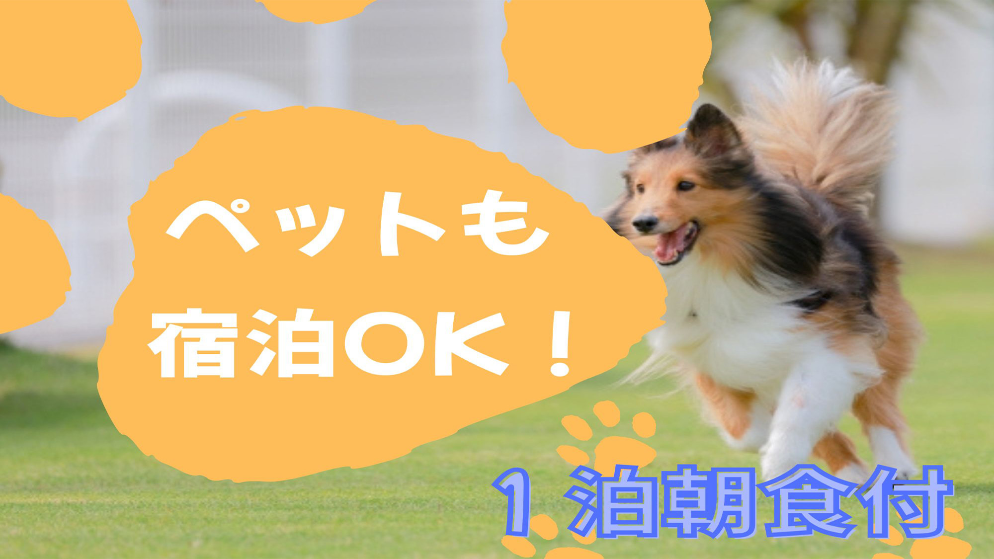 【ペット宿泊OK★朝食付】阿蘇の大自然に囲まれた空間で、ペットと一緒に素敵な時間を。