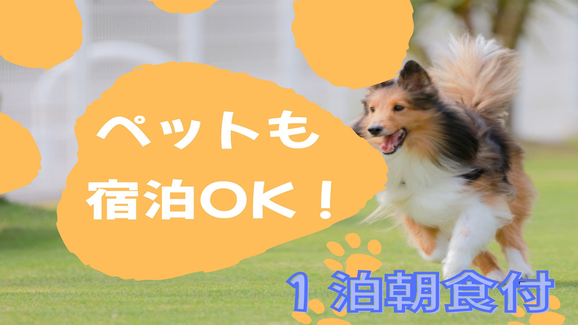 【ペット宿泊OK★朝食付】阿蘇の大自然に囲まれた空間で、ペットと一緒に素敵な時間を。