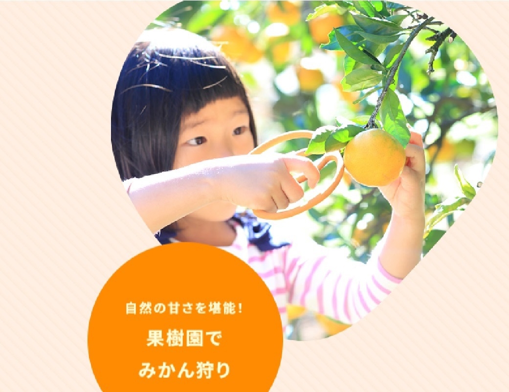 【自然を楽しむ♪みかん狩り体験付き】スタンダード会席1泊2食　現地現金決済専用プラン