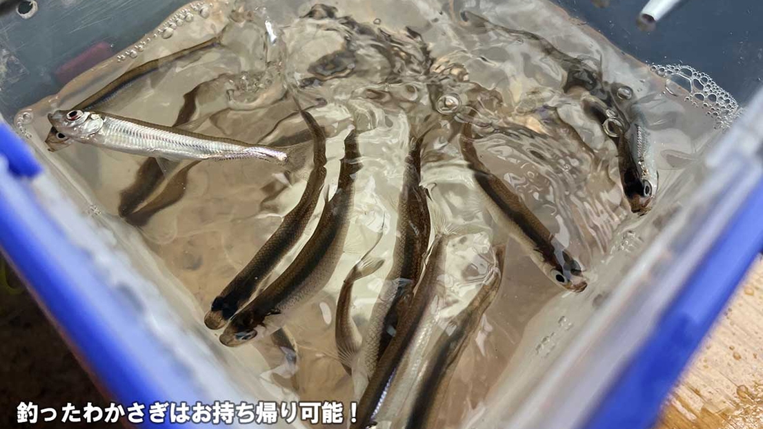 山中湖ドーム船で体験する「ワカサギ釣り」連泊プラン《2泊食事なし》