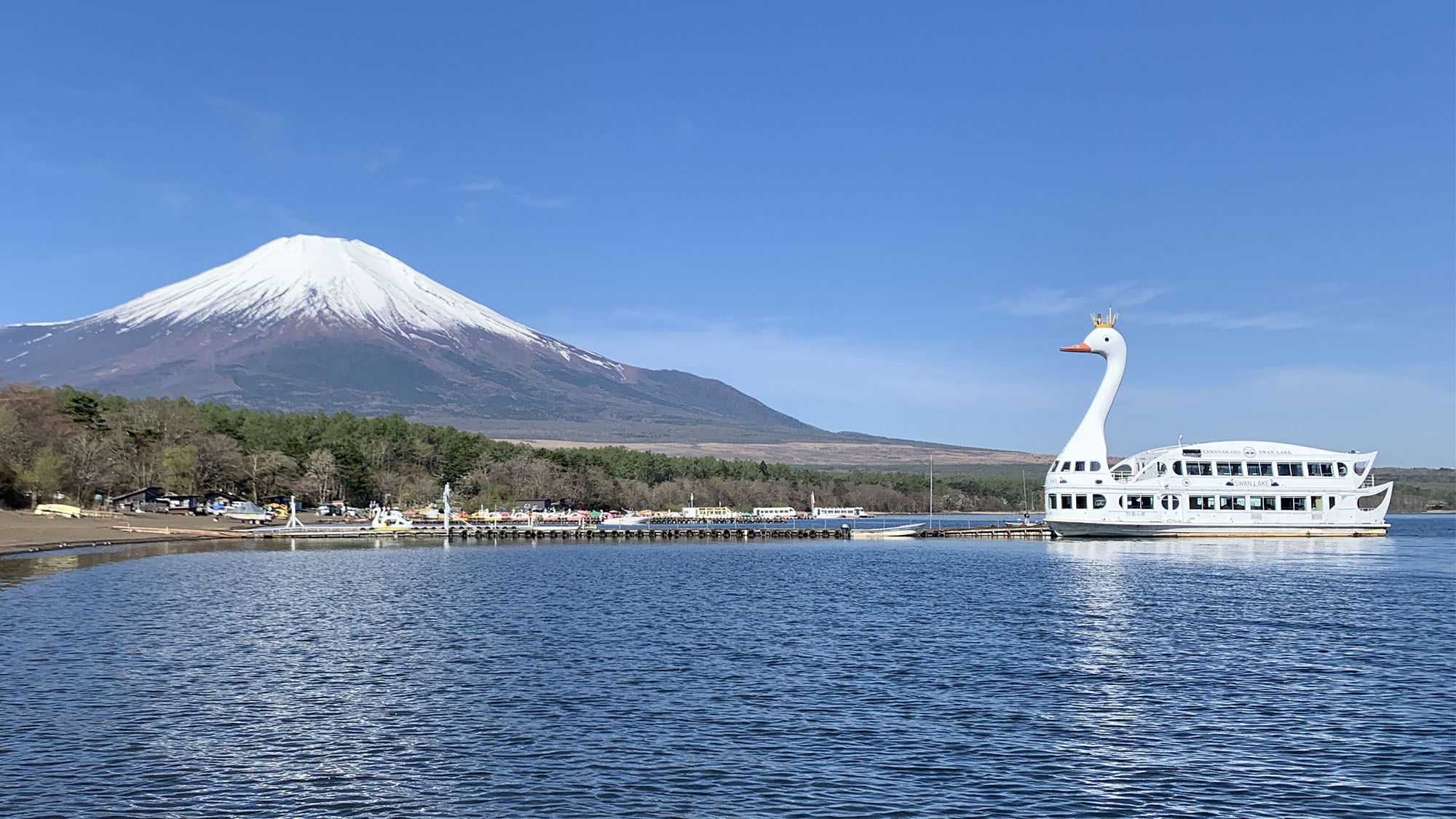 【車で2分】富士山の絶景を楽しむクルージング！白鳥の湖チケット付《富士山　溶岩石焼会席》1泊2食
