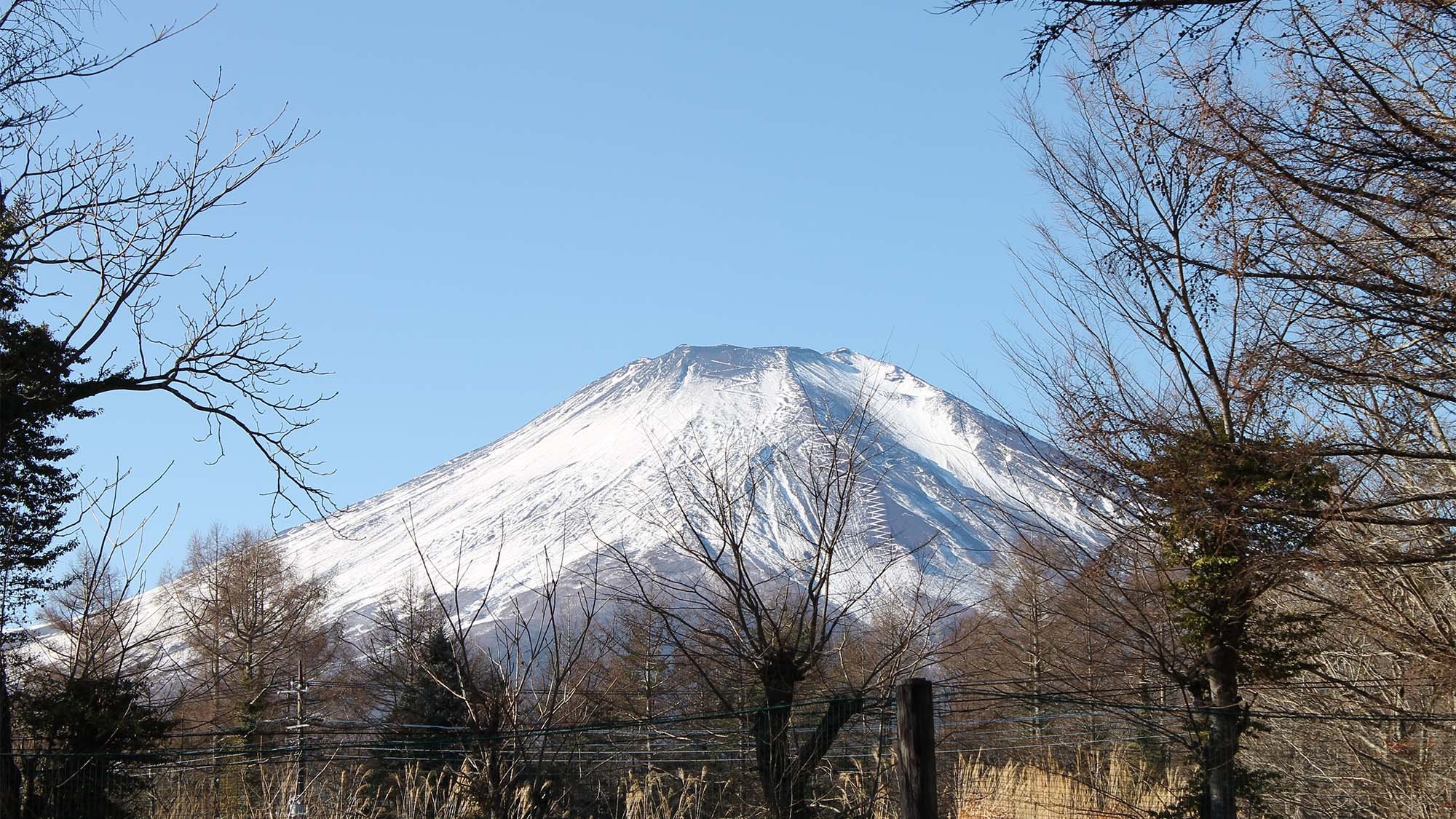 山中湖ドーム船で体験する「ワカサギ釣り」連泊プラン《2泊食事なし》