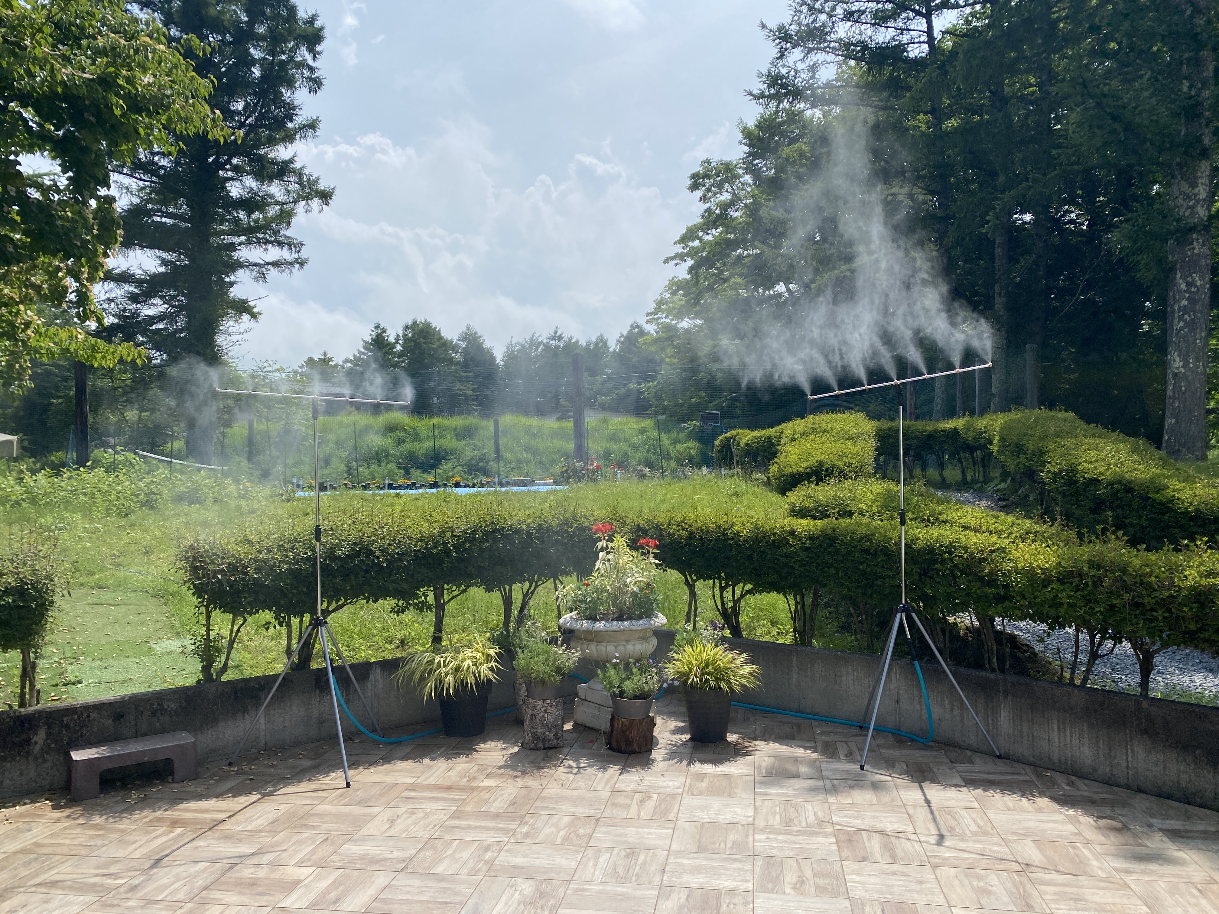 ミストシャワー