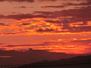 相模湾に望む朝焼け絶景！（お部屋から見えます）