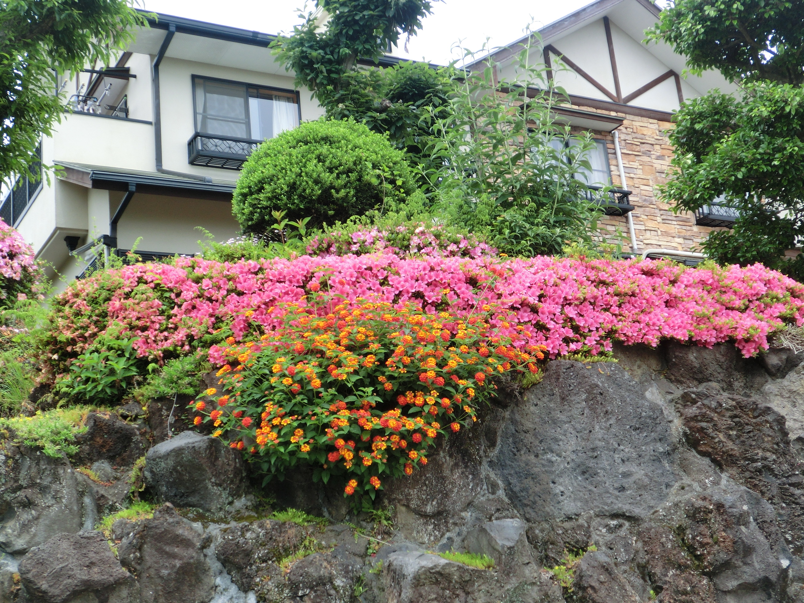 四季折々の花が咲き乱れる