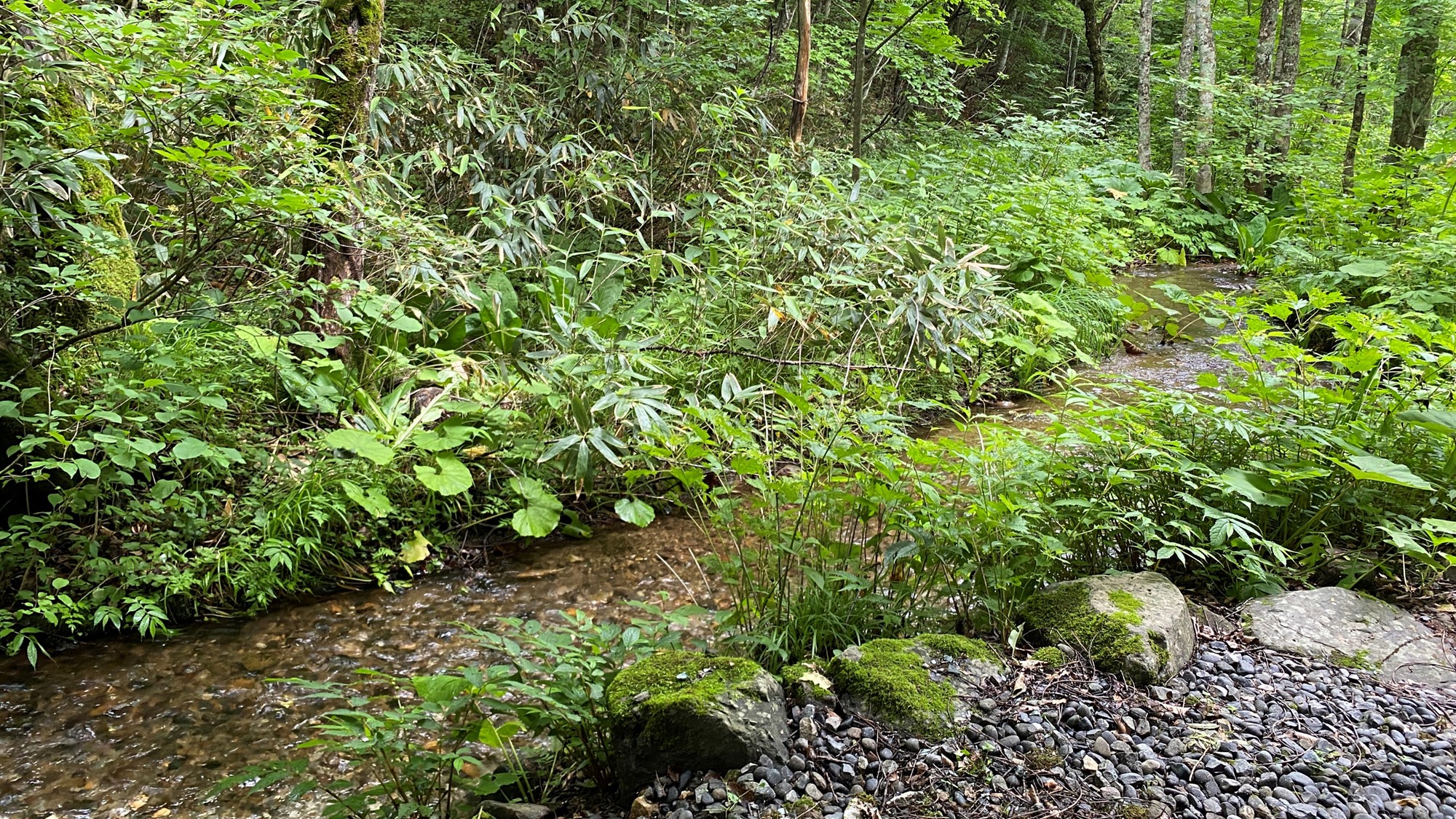 露天風呂の目の前には川が流れています