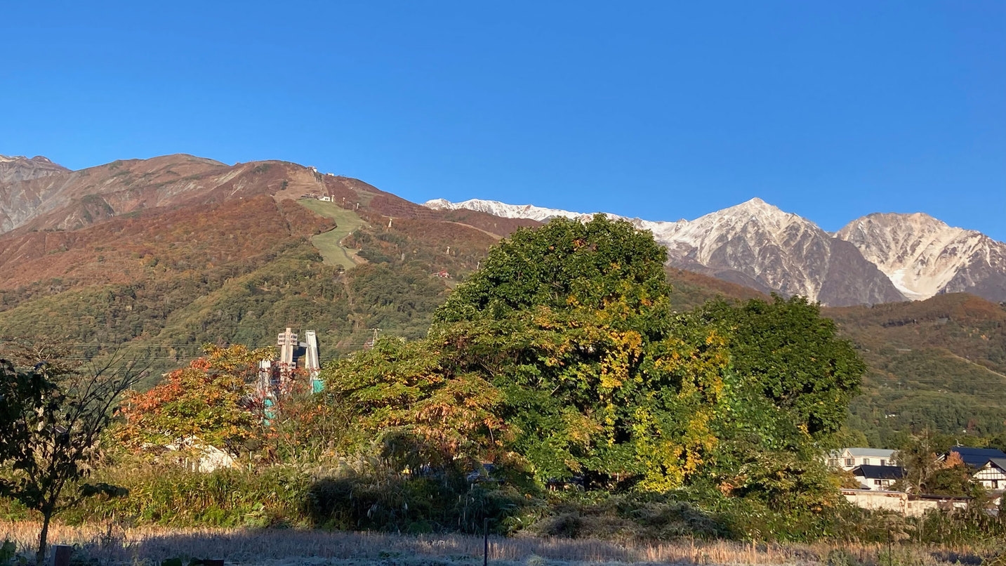 【紅葉シーズン】色鮮やかな紅葉を愛犬と一緒に大満喫！素泊まりプラン（愛犬同伴可）