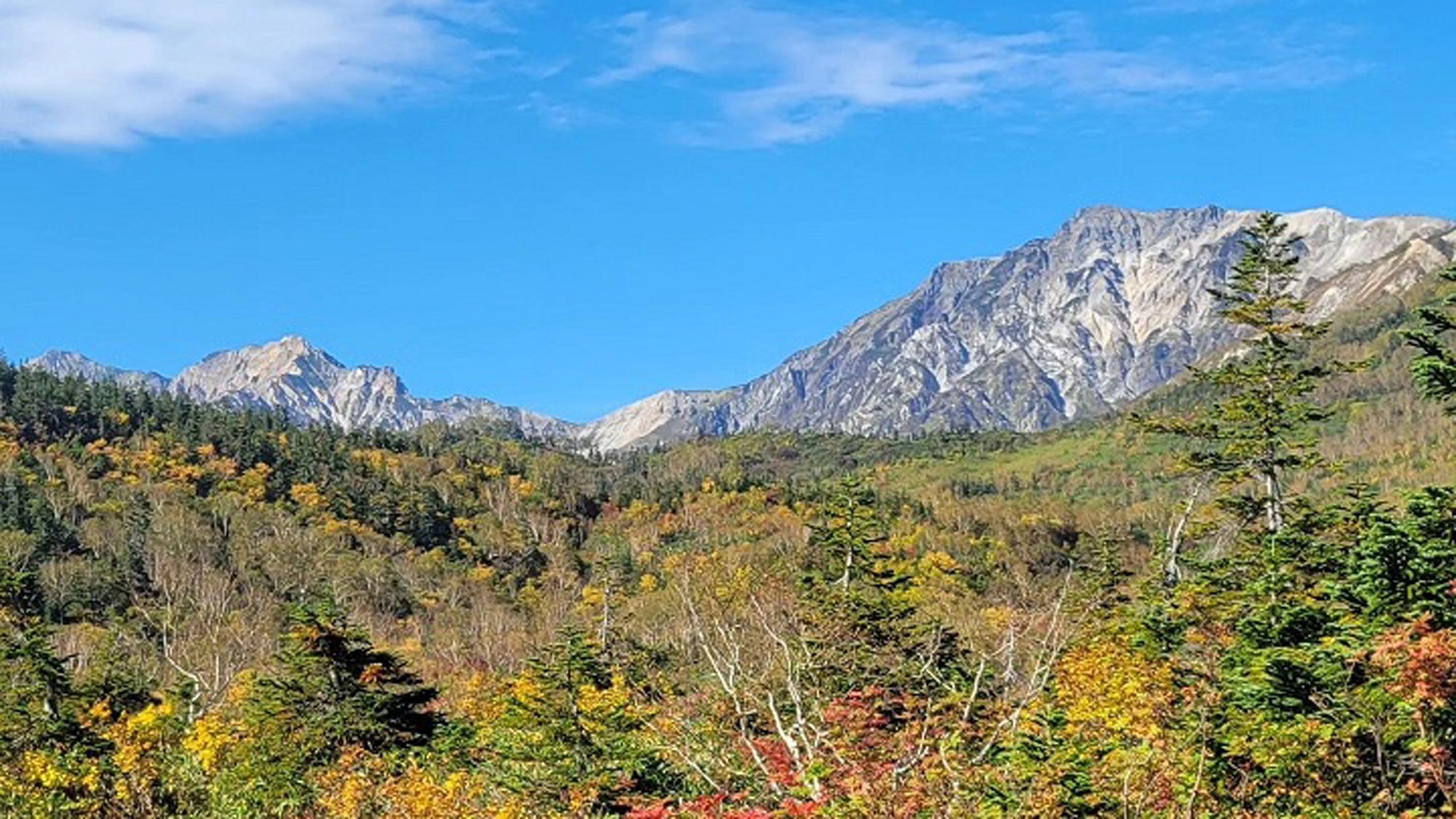 【紅葉シーズン】色鮮やかな紅葉を大満喫！素泊まりプラン（愛犬不可）