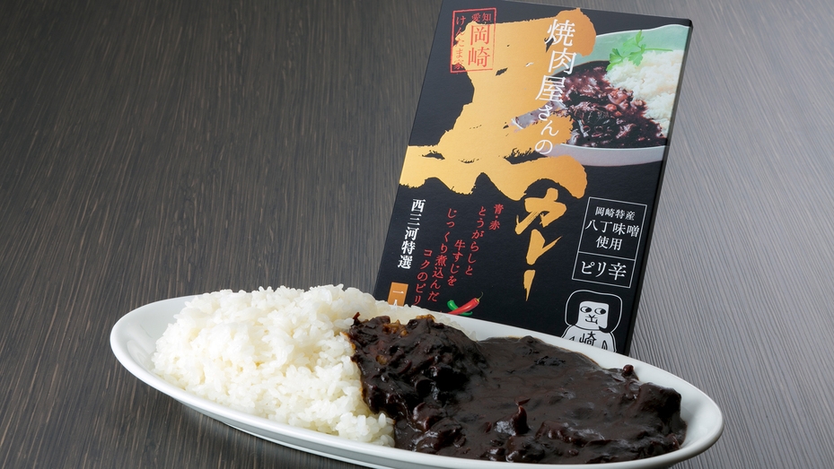 【全国対象】「とよた宿割」でお得旅！名物黒カレー1個セット御土産付！＜素泊まり＞