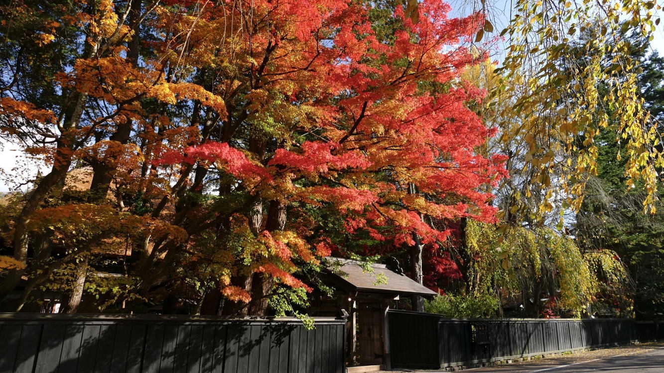 【角館・抱き返り渓谷◇紅葉！】秋田の紅葉の名所へ行こう！ご夕食は秋田食べ尽くしバイキング！