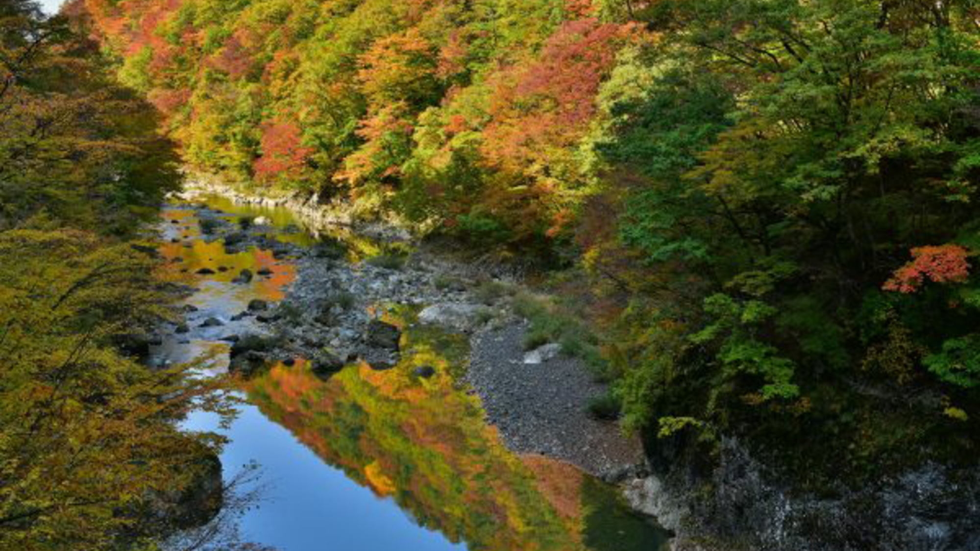 【角館・抱き返り渓谷◇紅葉！】秋田の紅葉の名所へ行こう！ご夕食は秋田食べ尽くしバイキング！