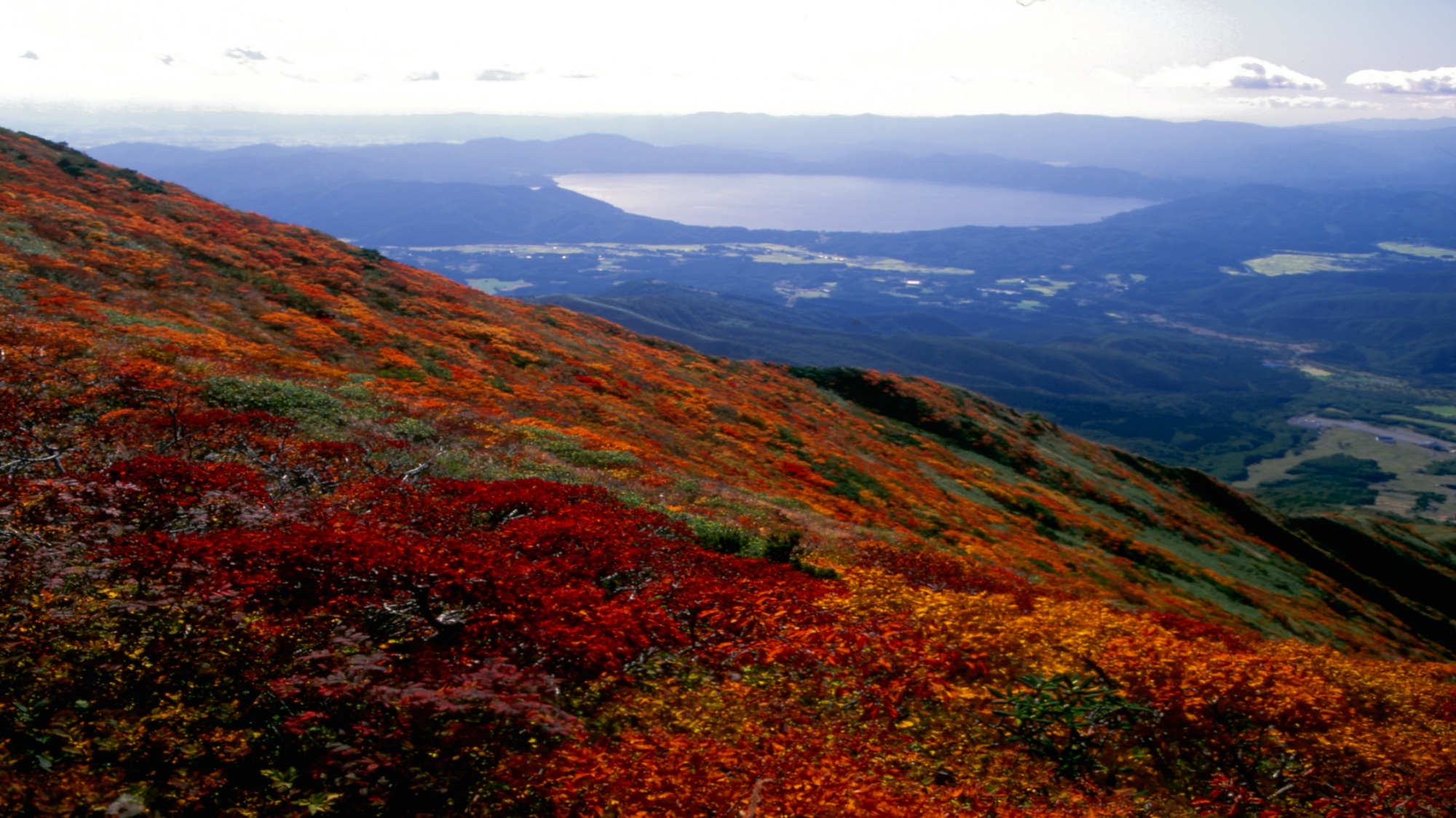 秋田駒ヶ岳　紅葉