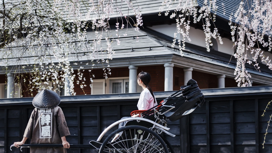 角館・武家屋敷通りの桜と人力車