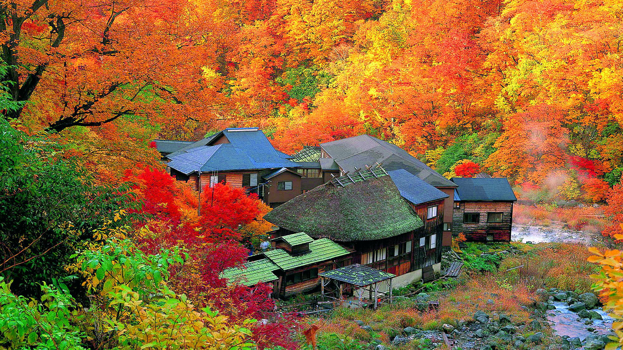 秋の乳頭温泉郷 黒湯温泉の紅葉