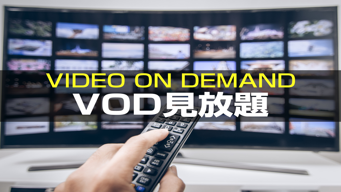 【VOD見放題プラン】朝食付＆駐車場＆ランドリー無料♪男女別大浴場