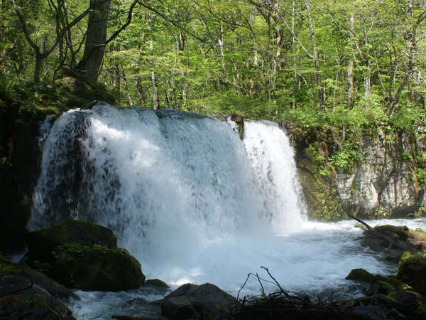 Oirase Gorge
