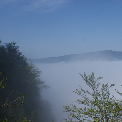 写真3