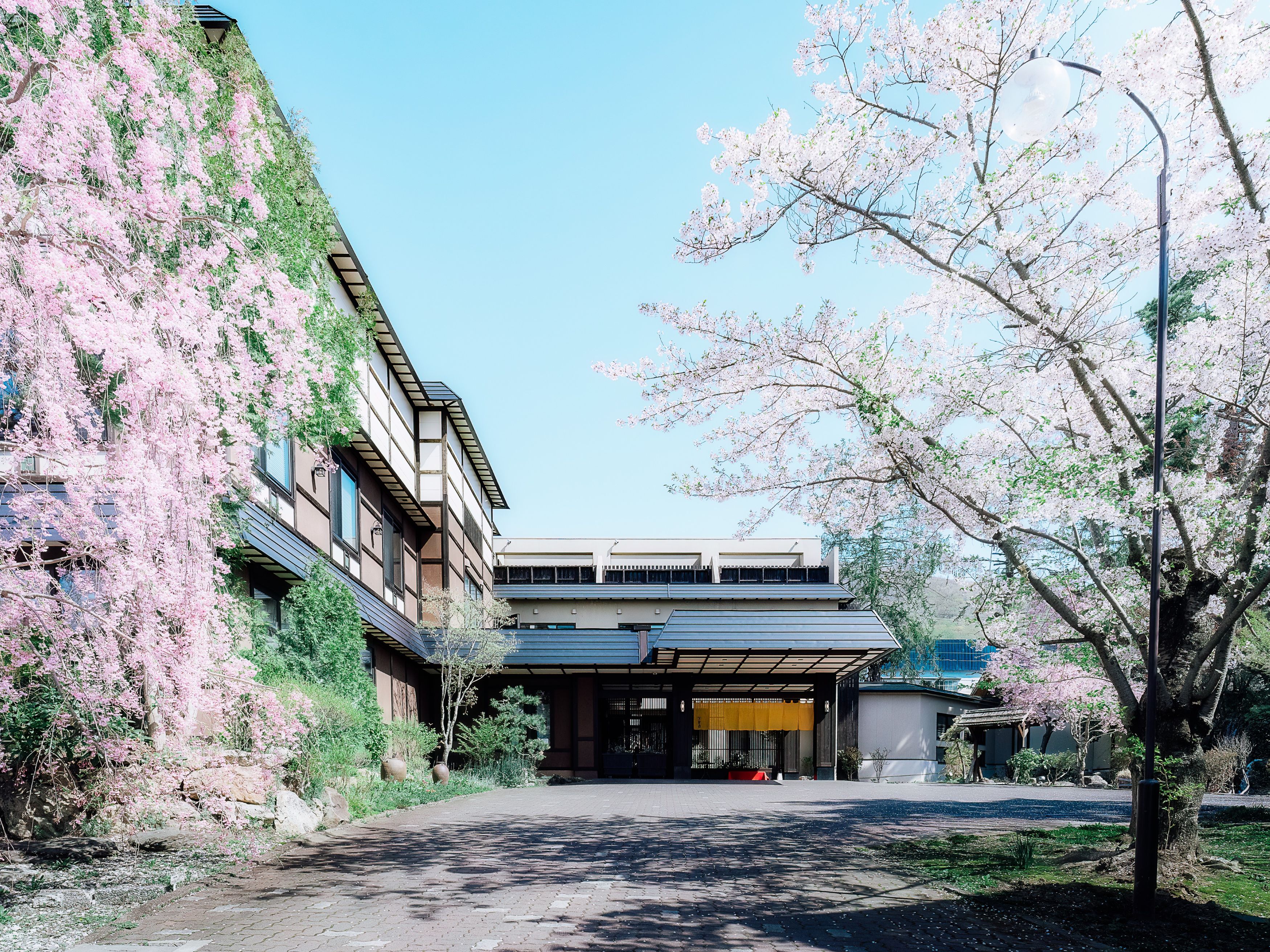 外観　春