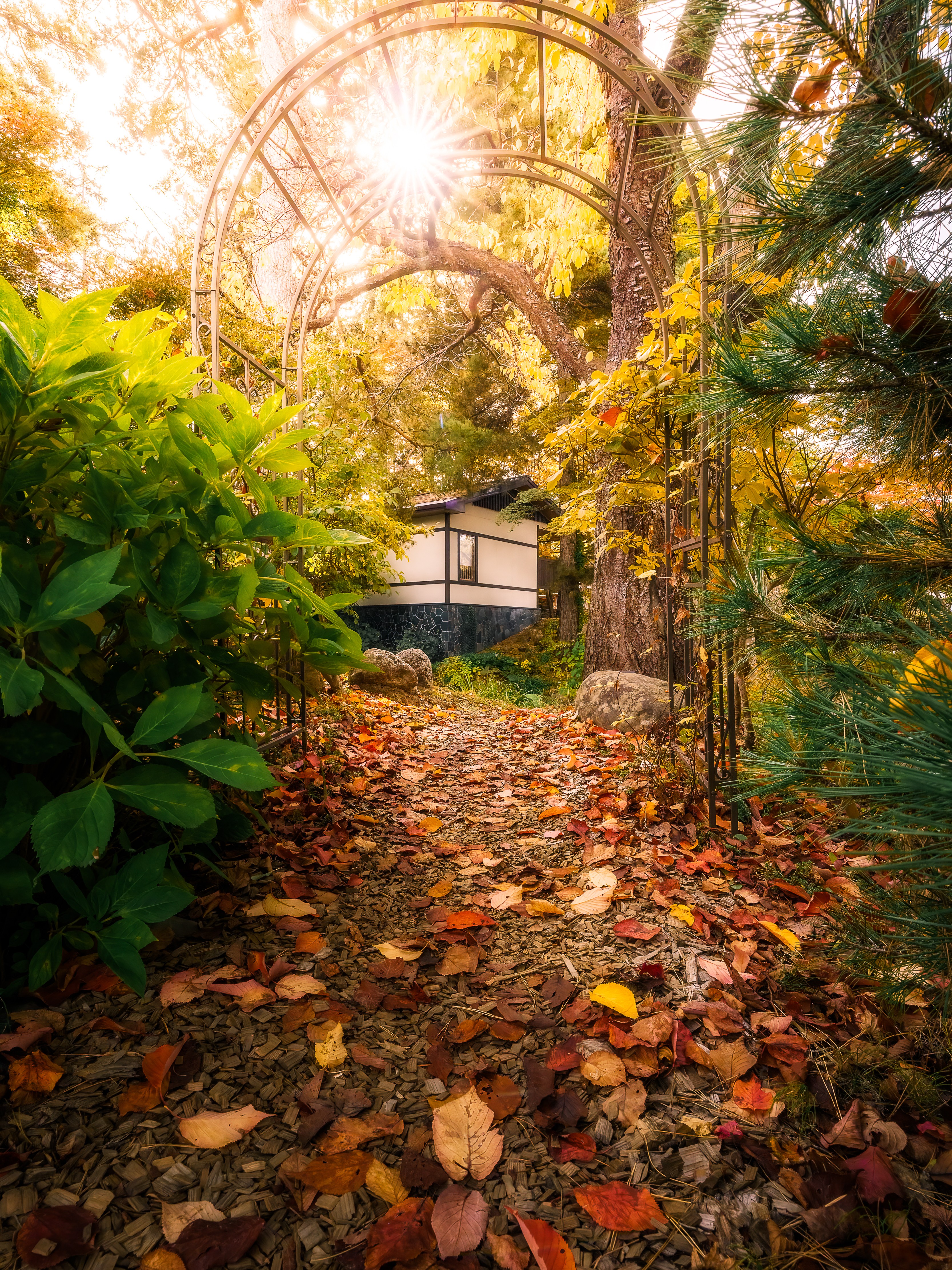 庭園　秋