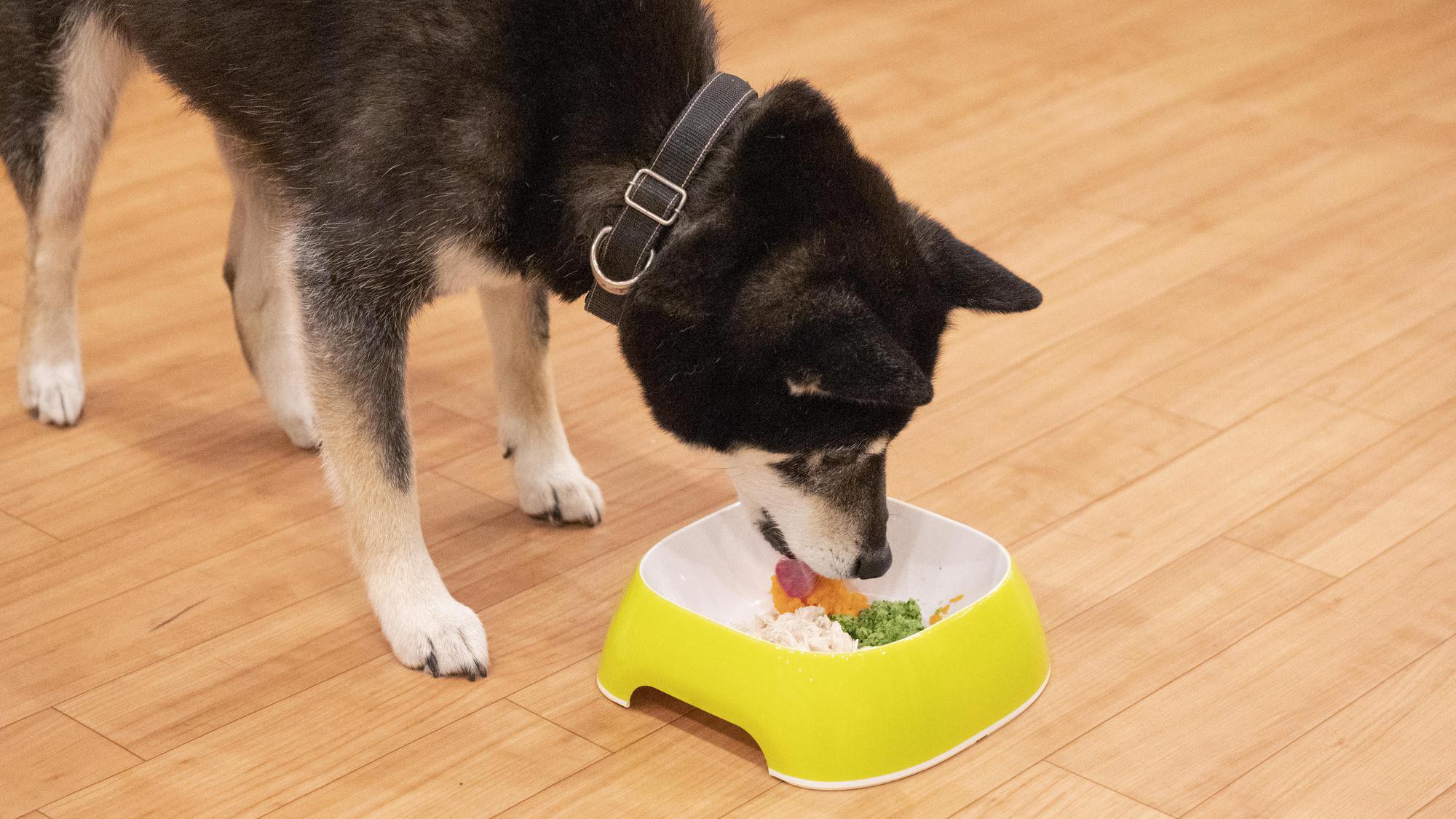 【朝食付プラン】一日の始まりはおいしい朝食から！【ペット可】