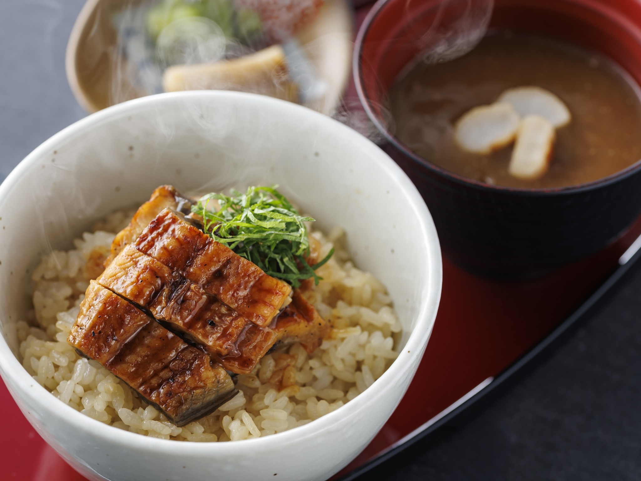 【季節の会席】静岡の自慢する海鮮をお造りと鰻ご飯で味わう＜愛犬同伴歓迎＞