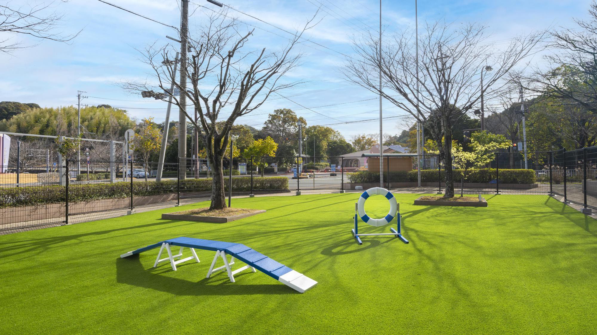 dog park ：アジリティの練習にも♪