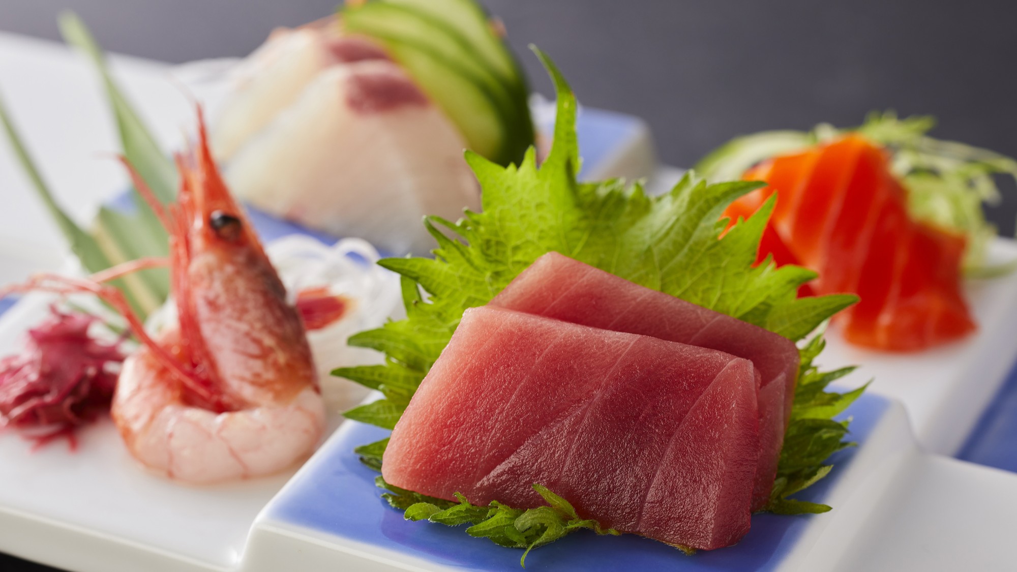 【スタンダード会席(2026春)】お造り