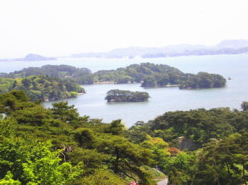 松島温泉 小松館 好風亭 - 写真 173