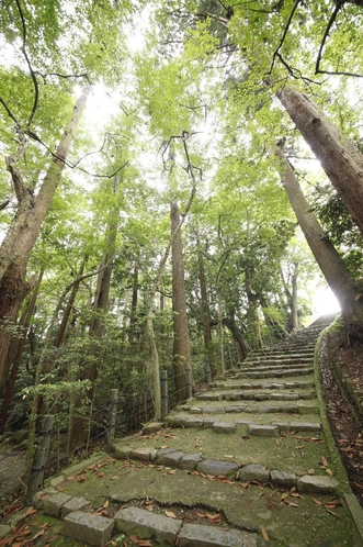 【成田山新勝寺】