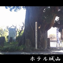 成願寺　びゃくしん　《車で約3分》