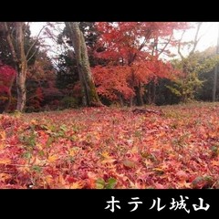 もみじの郷【11月下旬～12月上旬】　《車 約15分》