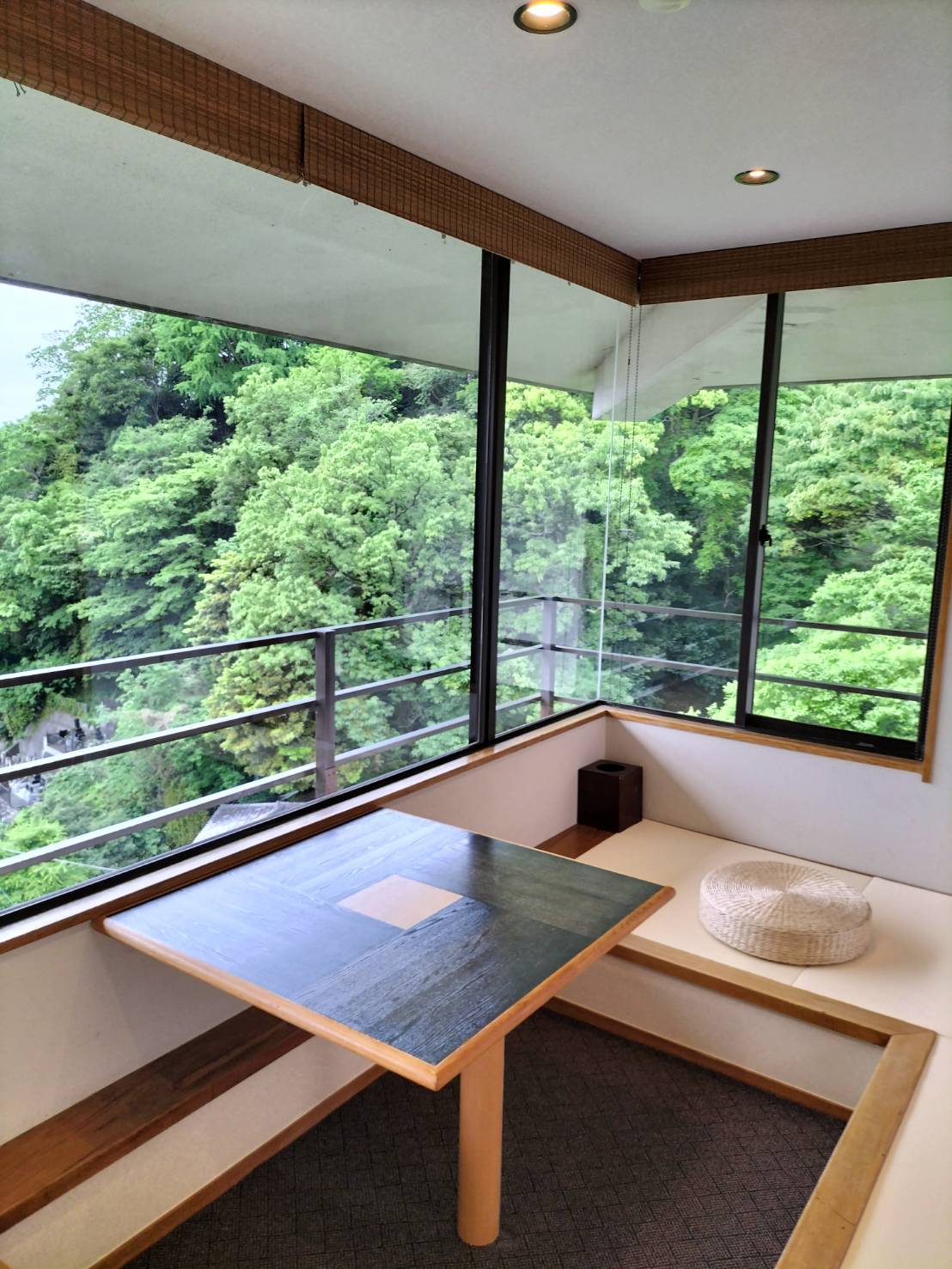 【2024年新装】海望める標準室〈和洋室10畳+自然豊かな内風呂〉