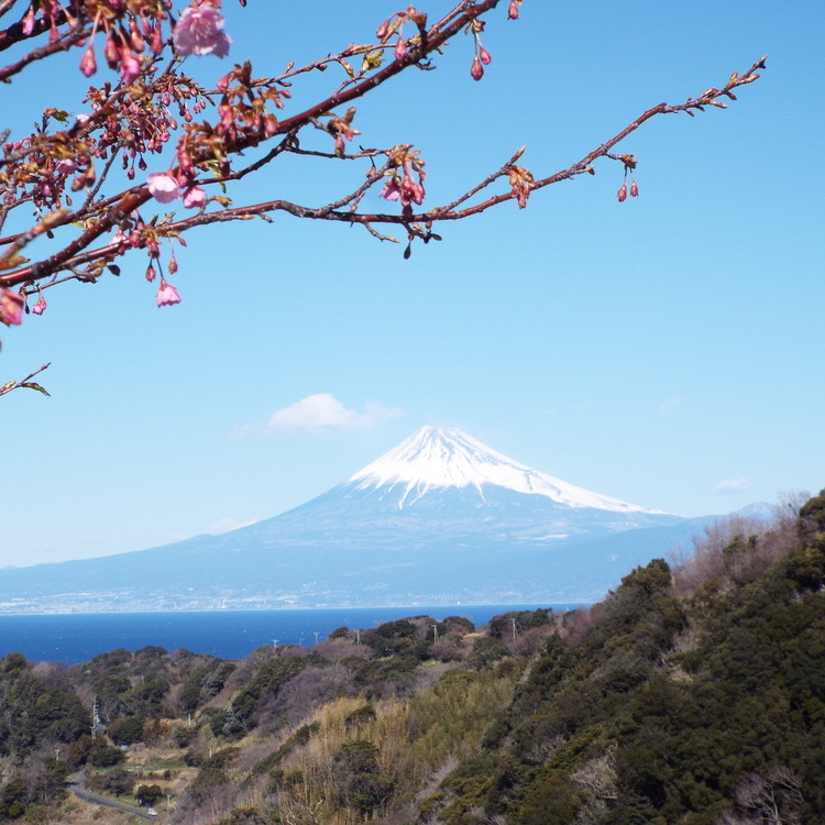 恋人岬から眺める富士山