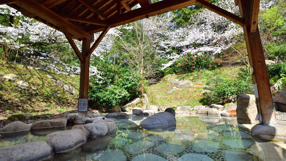 【春SALE】開湯700年！＜五つ星の宿＞奇跡の源泉会席料理【人気プラン】